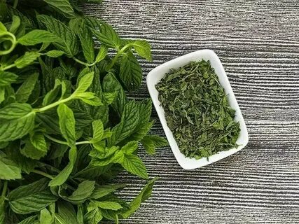 تصویر 3 از فروشنده بهترین سبزی نعنا خشک درجه یک در شیراز + قیمت عمده